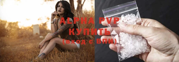 спайс Бородино