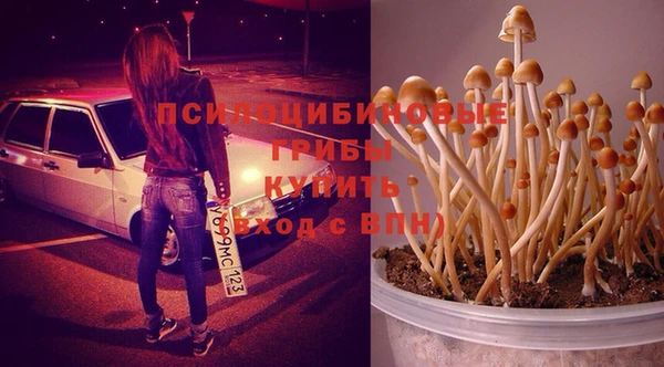 тгк Бугульма