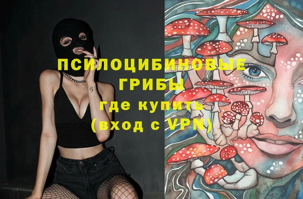 мдпв Семёнов